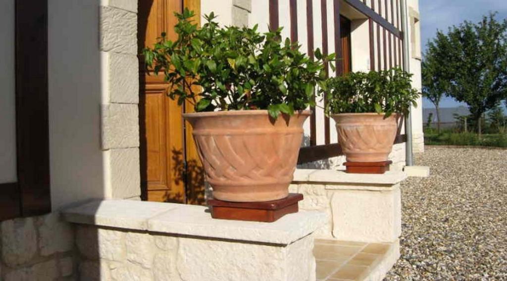 Le Mont D'Auge Bed & Breakfast Canapville  Dış mekan fotoğraf