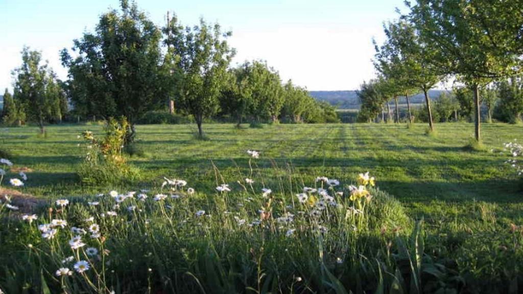 Le Mont D'Auge Bed & Breakfast Canapville  Dış mekan fotoğraf