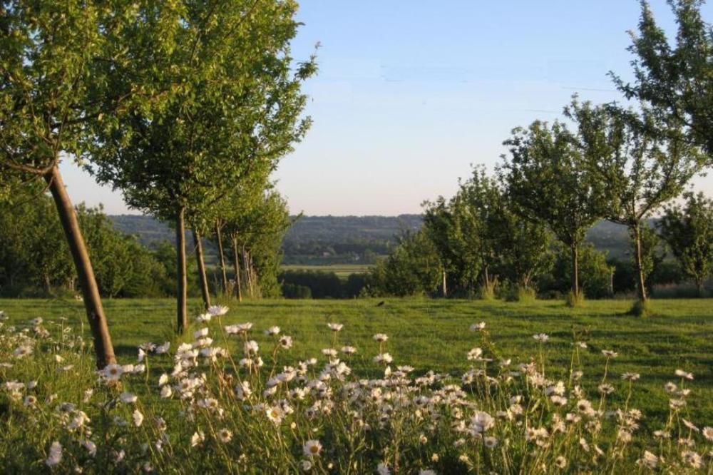 Le Mont D'Auge Bed & Breakfast Canapville  Dış mekan fotoğraf